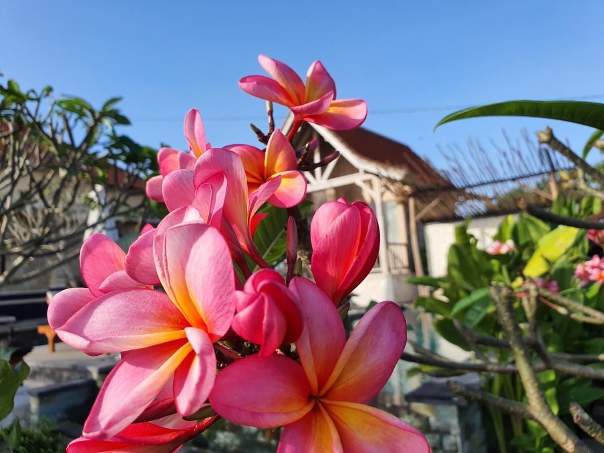 De Jantux Villa Uluwatu Exteriér fotografie